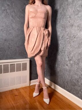 Jason Wu Blush Lace Corset Mini Dress Wedding Reception Size 2